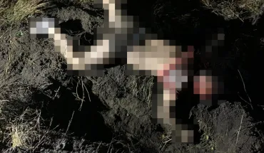 Умисне вбивство на Сумщині - слідчі ДБР затримали нацгвардійця (ВІДЕО)